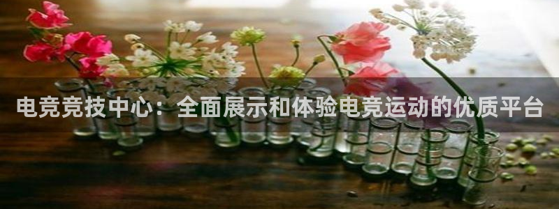 极速体育篮球直播