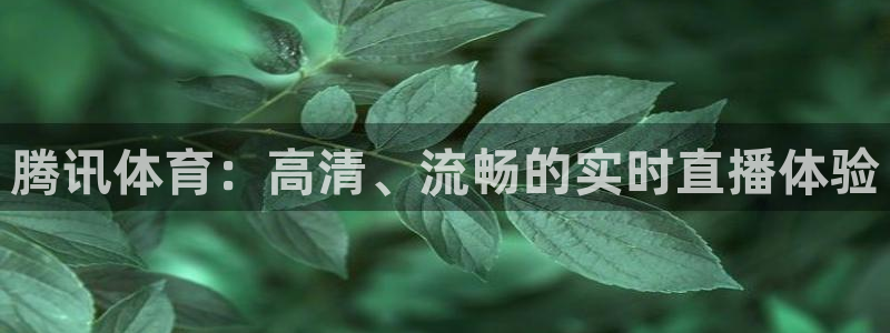 极速直播吧体育直播：腾讯体育：高清、流畅的实时直播体验