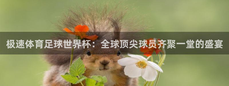 极速体育在线播放：极速体育足球世界杯：全球顶尖球员齐聚一堂的盛宴