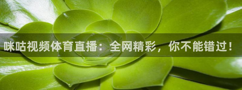 极速体育频道在线直播：咪咕视频体育直播：全网精彩，你不能错过！