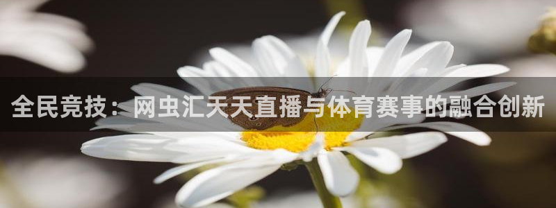 极速体育体育吧直播：全民竞技：网虫汇天天直播与体育赛事的融合创新