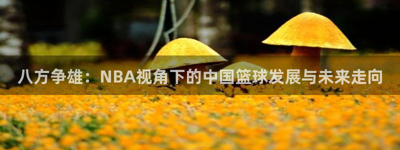球播nba直播极速体育球播：八方争雄：NBA视角下的中国篮球发展与未来走向