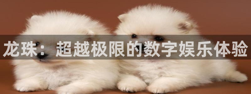 nba赛事直播极速：龙珠：超越极限的数字娱乐体验