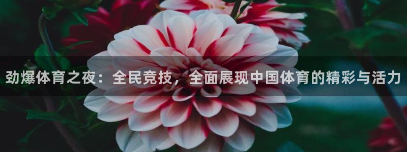 极速体育免费观看：劲爆体育之夜：全民竞技，全面展现中国体育的精彩与活力