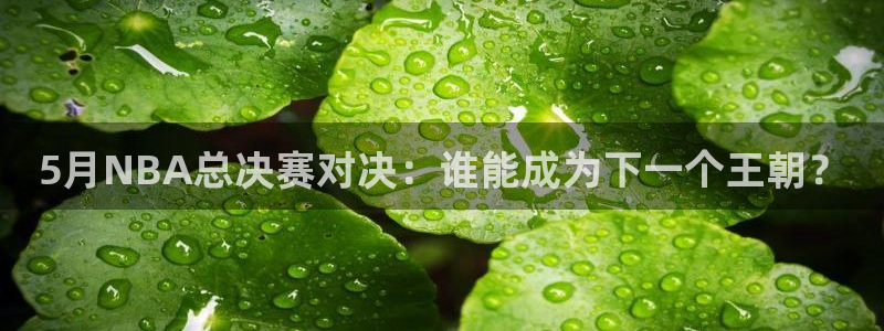 极速体育nba 直播吧：5月NBA总决赛对决：谁能成为下一个王朝？