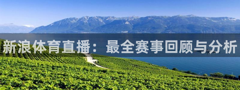 手机在线直播nba极速体育：新浪体育直播：最全赛事回顾与分析