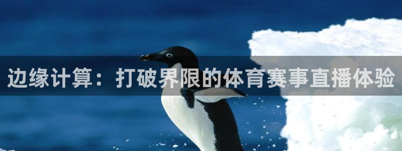 nba百事通直播极速体育直播：边缘计算：打破界限的体育赛事直播体验