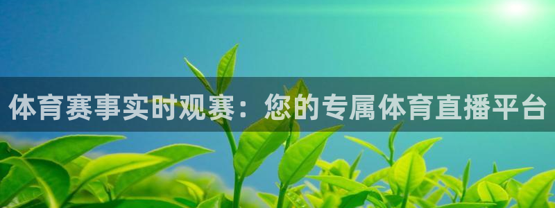 nba直播体育直播极速：体育赛事实时观赛：您的专属体育直播平台