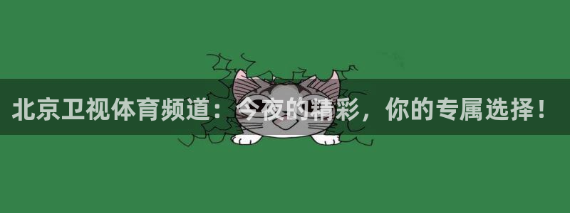 极速直播nba体育直播：北京卫视体育频道：今夜的精彩，你的专属选择！